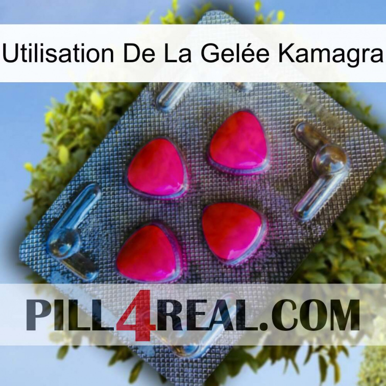 Utilisation De La Gelée Kamagra 13